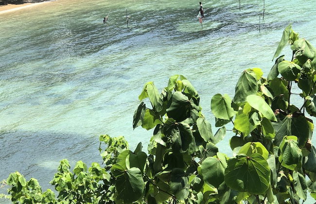 Kenno's Korner - Photo 80