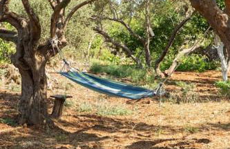 Villa Niovi - Photo 39