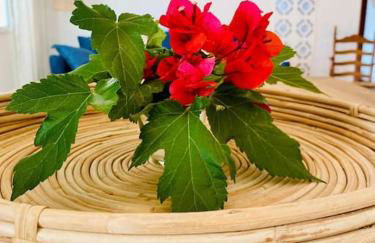 El Riuet-Chalet apartamento a 1 minuto de la playa, Cullera - Foto 14