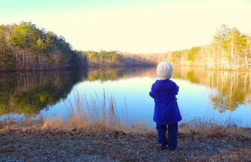 *The Governor's Mansion* Close to Downtown - Photo 66