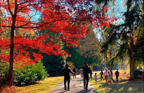 Luxury Retreat near beaches, 12 miles to Seattle - Foto 62