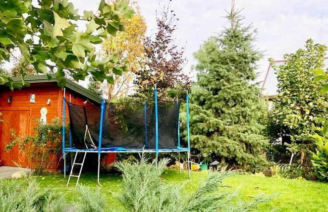 Cottage in Dlugosiodlo Near Forest Edge - Photo 37