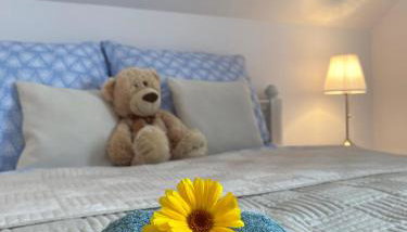 Zielone Okiennice Łagów - Foto 4