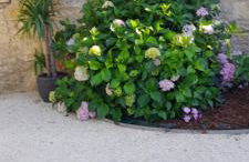 Gîte des Allas - Foto 18