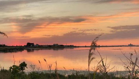 Villa Esclusiva in Riserva Naturale - Foto 3