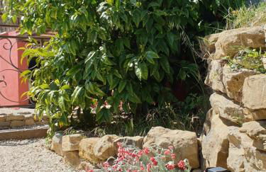 Gîte dans Mas provençal ,havre de paix - Foto 28