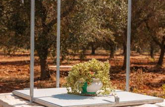 Trullo Tarantini con piscina privata - Foto 26