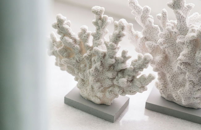 Sanhaus Apartments - Photo 69