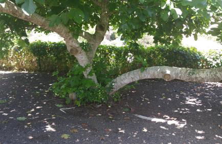 Casa el Porte - Foto 44