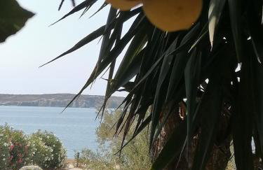 Nikoleta's Studios - Photo 57