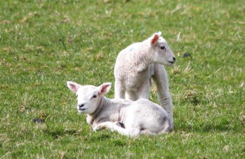 Spacious and bright 1 - bedroom rental unit - Photo 8