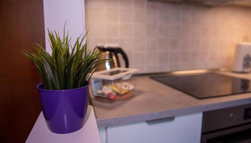 Delizioso Appartamento in Pisa Casa MiMa - Foto 2