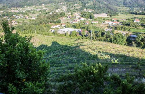 Quinta da Mata - Foto 37