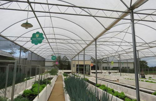 Recanto Dos Gansos - Foto 25