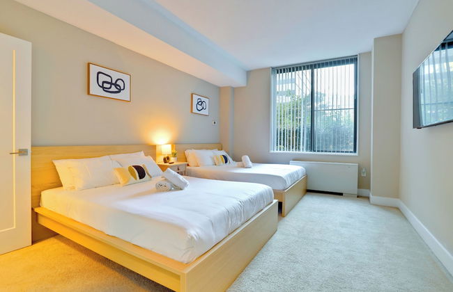 Walkable DC View Apartments - Photo 13