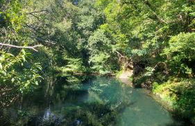 A Barreira -Lar da cima- - Foto 22