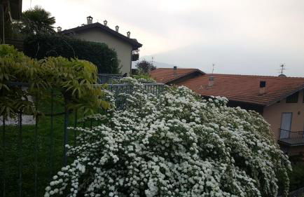 Apartment Weiss Home - Foto 13