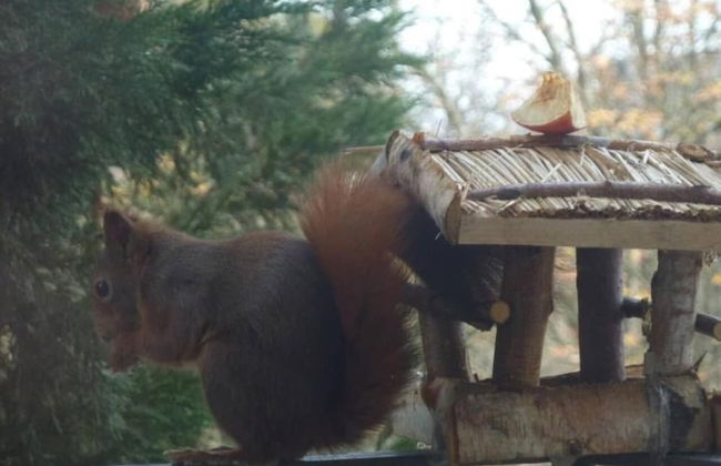 1 bedroom apartment in prime location - Photo 27