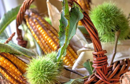 Gîte Authentique avec Internet Très Haut Débit à Amions-Vézelin - FR-1-496-226 - Foto 13