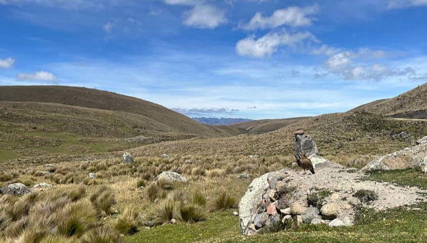 Be surrounded by nature