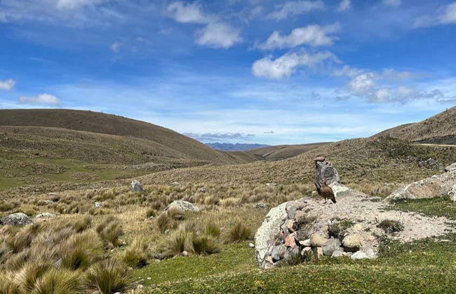 Inca Trail Trekking from Culebrillas to Ingapirca - Photo 3