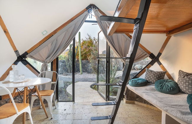 Bosque Geométrico - Foto 67