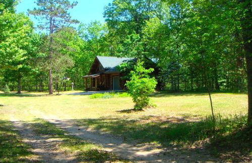 Custom-Built Family Cabin in Manistee National Forest, Michigan - Foto 6