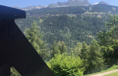 Montchavin Les Côtes vue Mont-Blanc - Foto 10