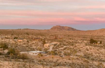 Kinetic House-Joshua Trees Sculptures Cowboy Pool - Foto 1