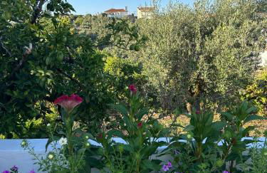 A casa dos avós - Foto 26