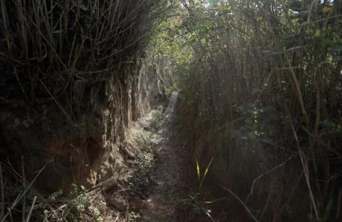 Apartment in Susak with air conditioning, W-LAN (3865-6) - Foto 34