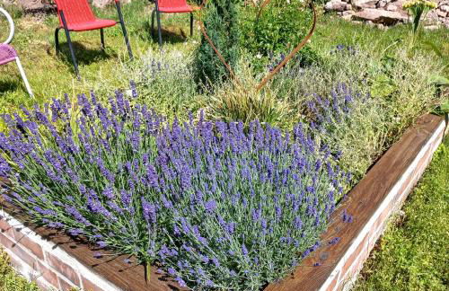 Ferienwohnung Wettin - Foto 7