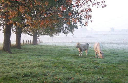 Le Faing Du Bray - Foto 6