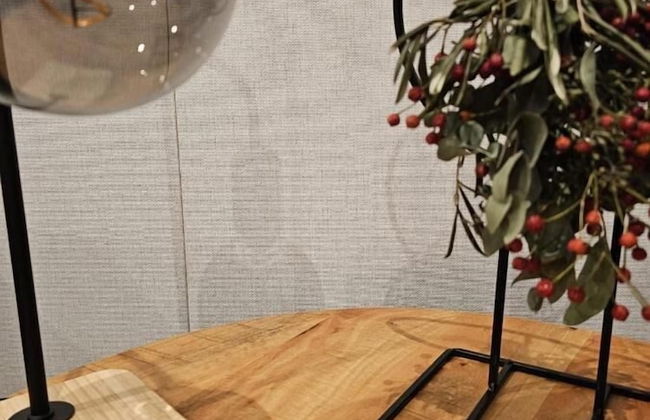 Casa Sallandia met Outdoor Wellness - Foto 17