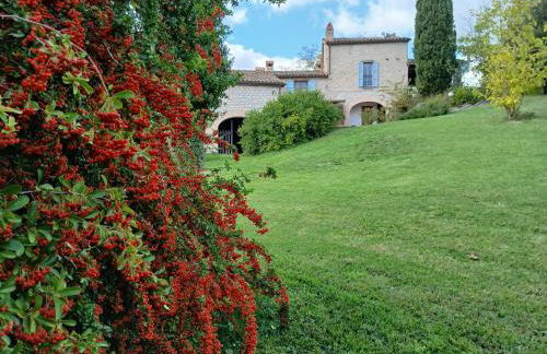 Agriturismo del Frontino - Lo Studio - Foto 25