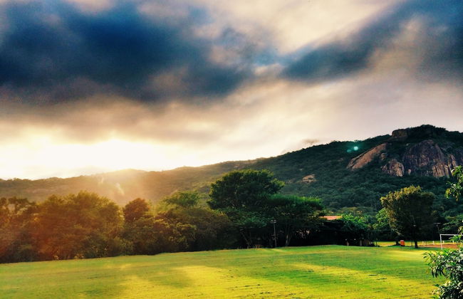 Near2Numbi - Foto 73