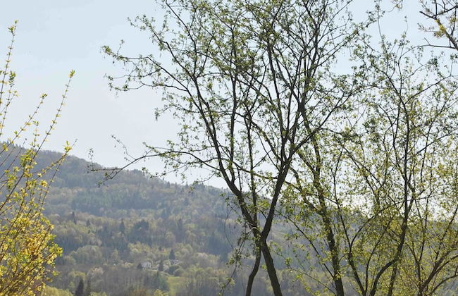 Antico fienile - Photo 77