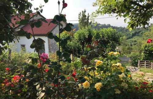 Casadelsale - Foto 18