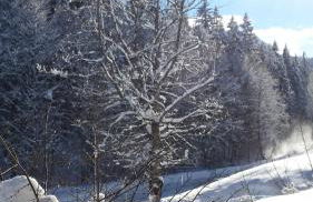 Ferienhaus am Römerweg - Foto 22