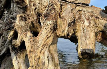 Urlaub nahe der Peene nähe der Ostsee - Foto 9