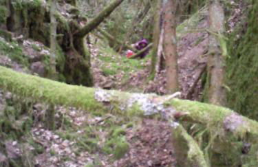 Haus Kristall - Foto 24