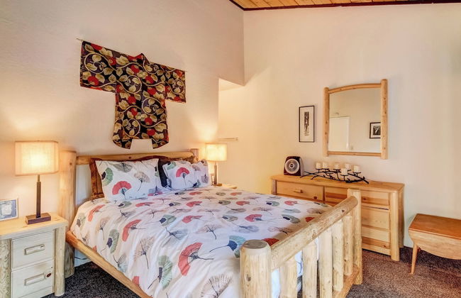 Alpine Meadows Peak 15 Min to Commons Beach - Photo 4