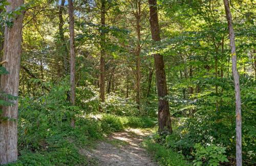 The Heartwood Hideaway-Charming Cabin Getaway-Trails, Creek, and Starry Nights - Foto 15