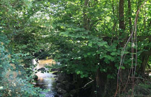 Ferien Am Wolfsbach - Foto 29