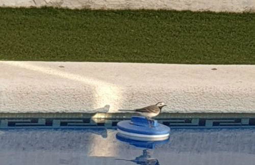 Villa Preciosa - Foto 63