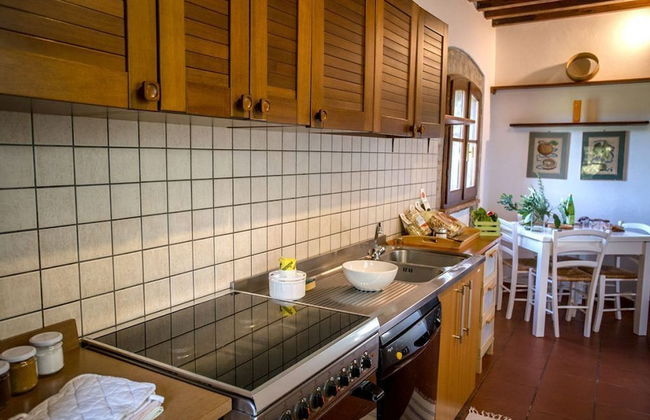 Bio Tenuta di Paganico - I Roggeti - Foto 36