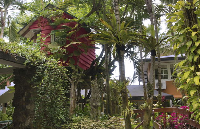 La Casa de Pio Pio - Foto 43