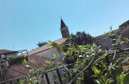 Mini Contrà San Pietro - Foto 20