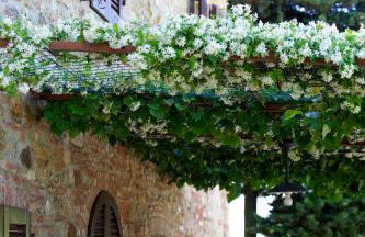 Il Casale Del Cotone - Foto 62