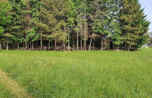 Cuore del Cilento - Foto 21